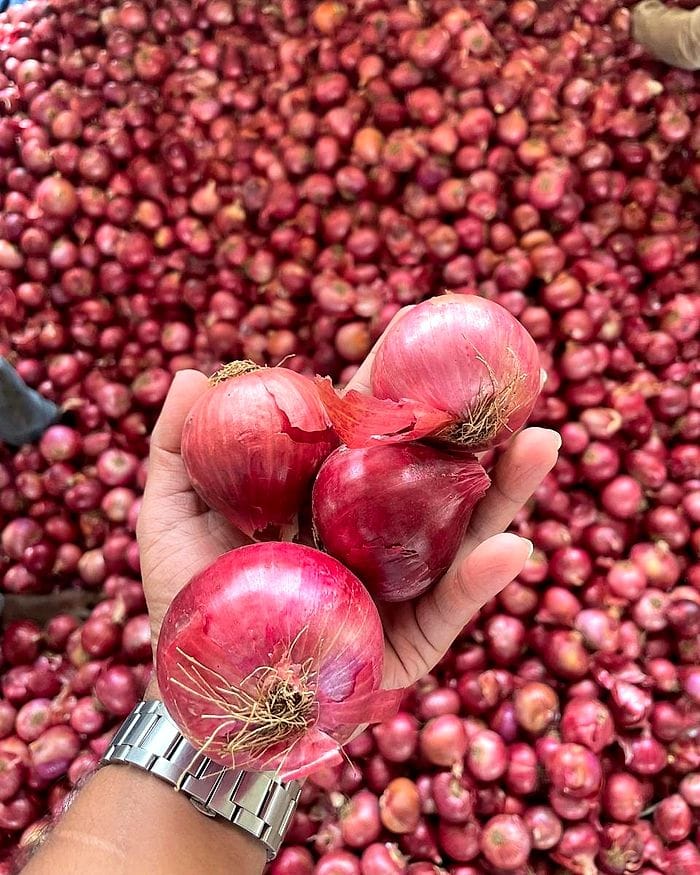 A hand holding graded red onions above a large pile at the market.