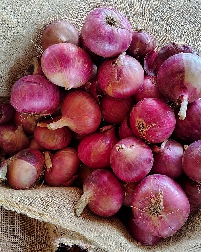 Premium red onions packed in a jute sack.